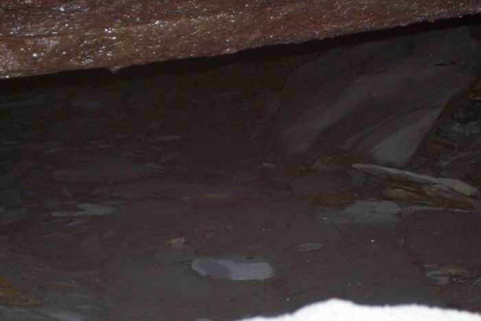 Elwin Coal on Rt. 88 10 13 07 010.jpg