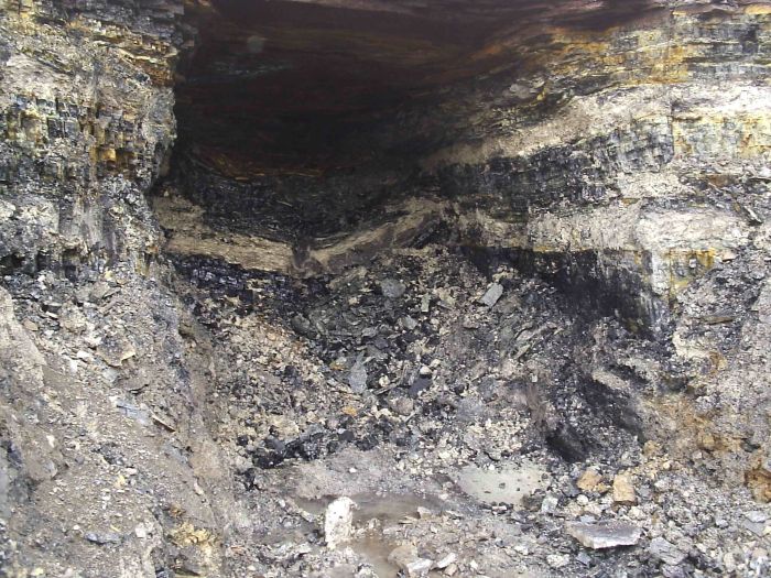 Elwin Coal on Rt. 88 PA190665.jpg