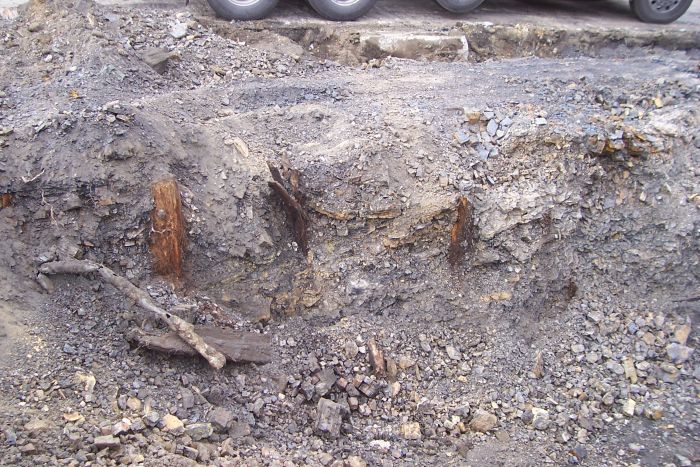 Elwin Coal on Rt. 88 10 13 07 012.jpg