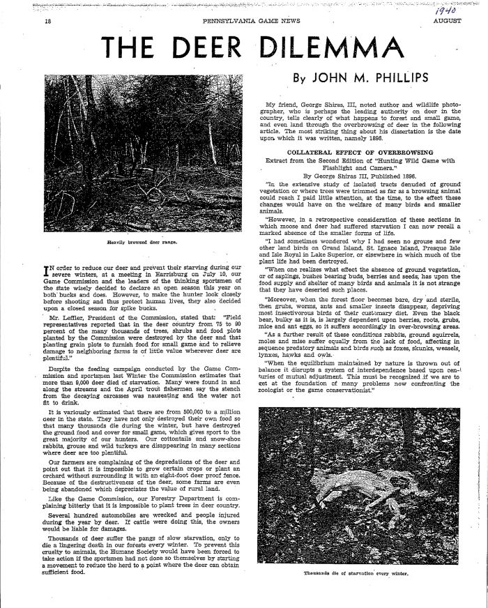 The deer dilemma.jpg