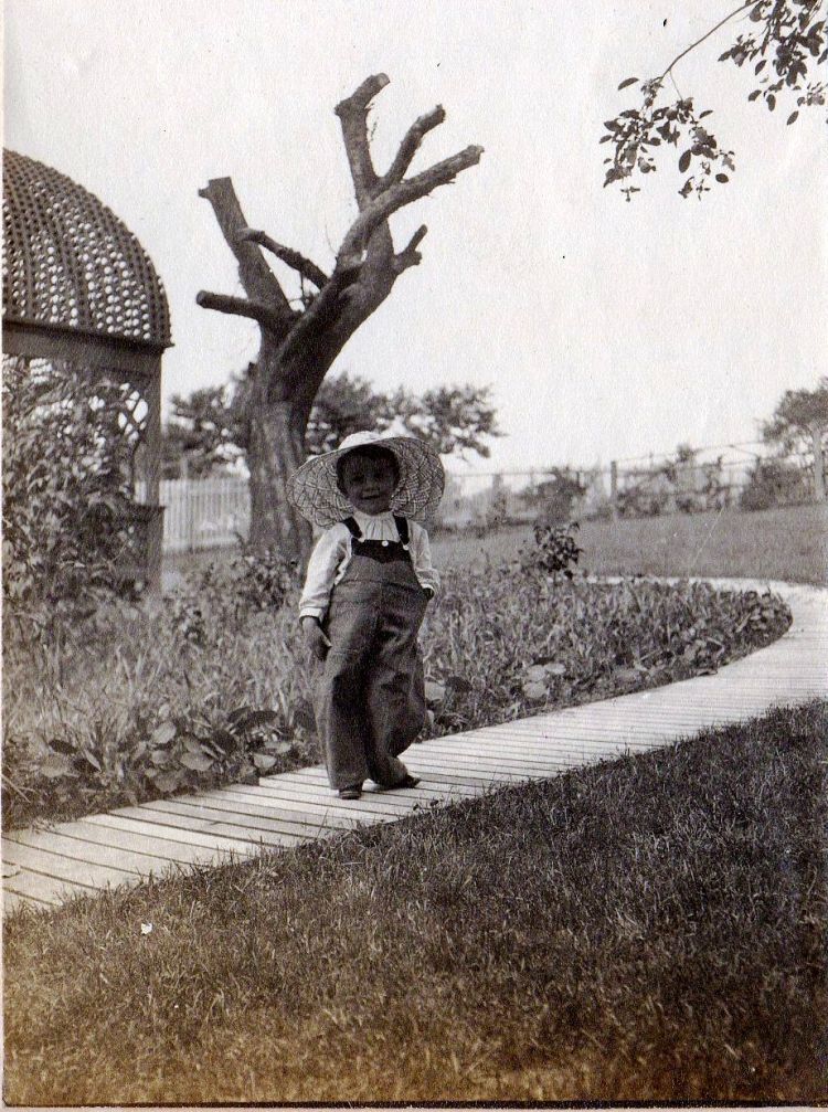 6-Donald 1904(1) rs.jpg