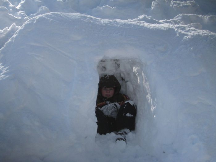 File:February 2010- Giffin Murphy Hornaday Road.jpg