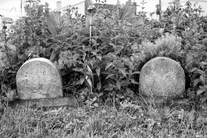 1106 Concord Cemetery07 rs.jpg