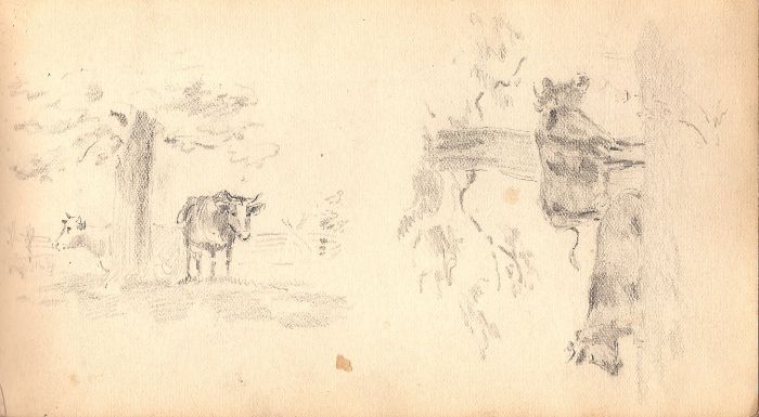 Sketches Wm. Bachelor 1890 pg 14.jpg