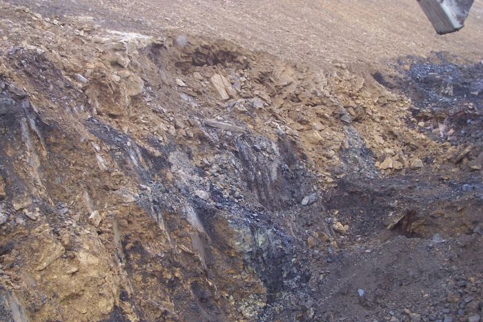 Elwin Coal on Rt. 88 10 12 07 103.jpg