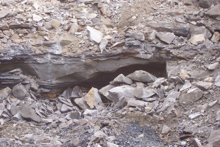 Elwin Coal on Rt. 88 10 12 07 140.jpg