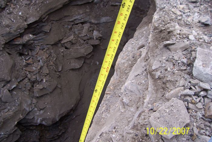 Elwin Coal on Rt. 88 10 25 07 024.jpg