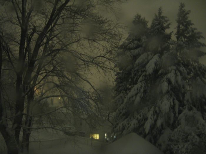 February 5, 2010 back 4 2130pm.jpg