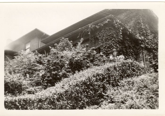 1933 145 Madeline bushes (2).jpg