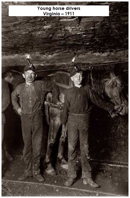 Mine photo horse driver.jpg