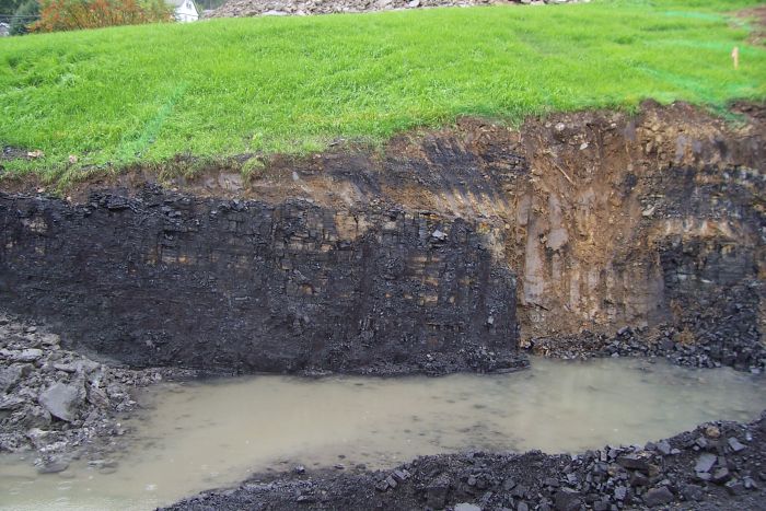 Elwin Coal on Rt. 88 10 12 07 109.jpg