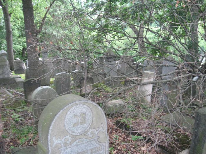 File:Jewish cemetery 3.jpg