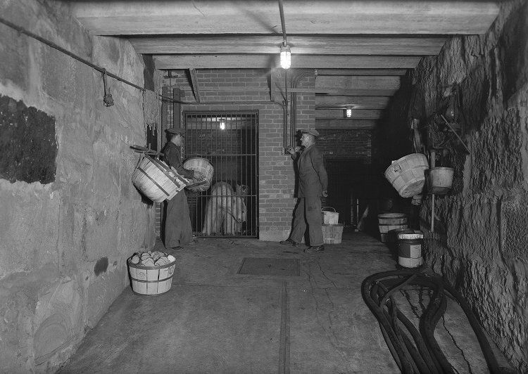 Pittsburgh Zoo Bear exhibit prior to JMP.jpg