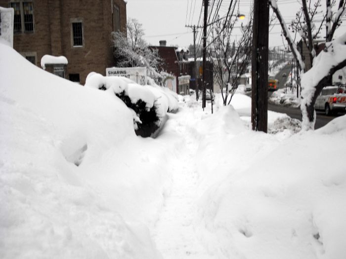 File:Brownsville Road looking North-from 1630.jpg