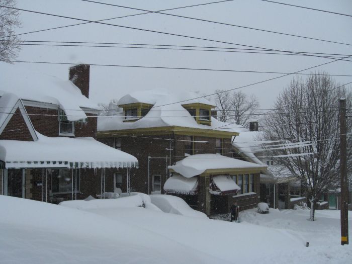 File:February 2010-Hornaday Road 217.jpg