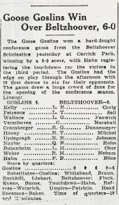 Goose goslins 2rs.jpg