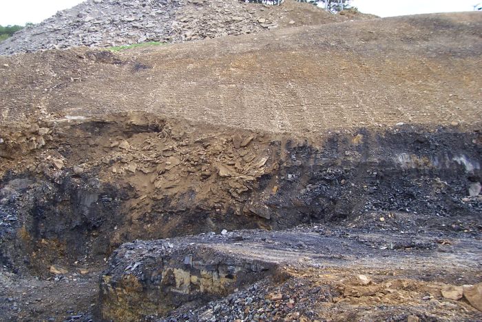 Elwin Coal on Rt. 88 10 12 07 132.jpg