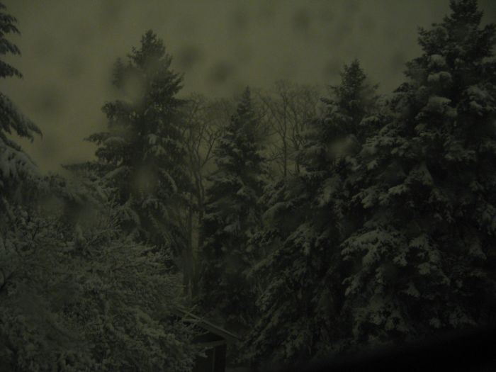 File:February 2010 - rear 219 Hornaday Night 2.jpg