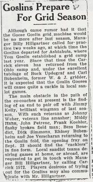 Goose goslins 3rs.jpg