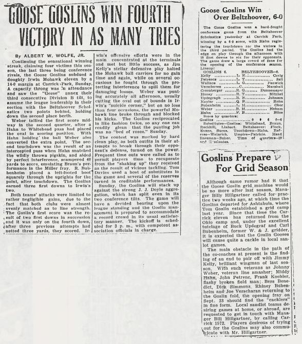 Goose goslins cr.jpg