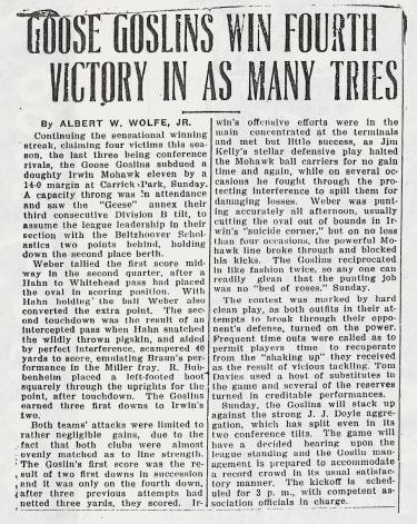 Goose goslins 1 rs.jpg