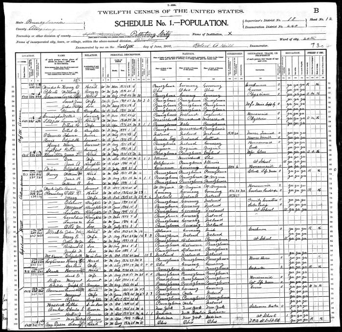 Sara Jane Phillips Chessman census.jpg