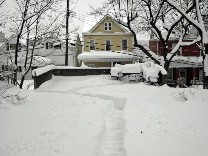File:Top of Garage 1630 Brownsville Road back.jpg