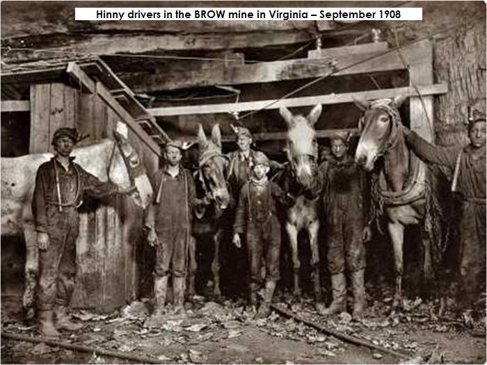 Mine photo Hinny drivers in the BROW mine in Virginia – September 1908.jpg