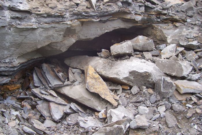 Elwin Coal on Rt. 88 10 12 07 137.jpg