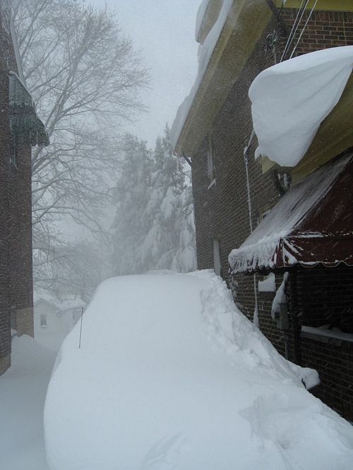 February 2010-Hornaday Road 219.jpg