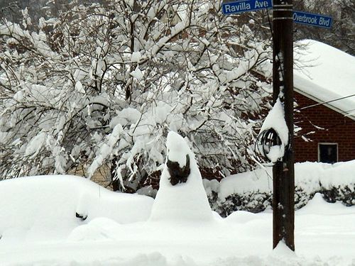 Julia Tomasic Valera Street.jpg