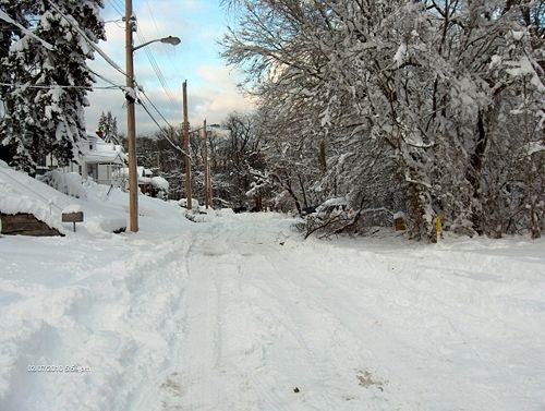 KingwoodSt Tom Kopp.jpg