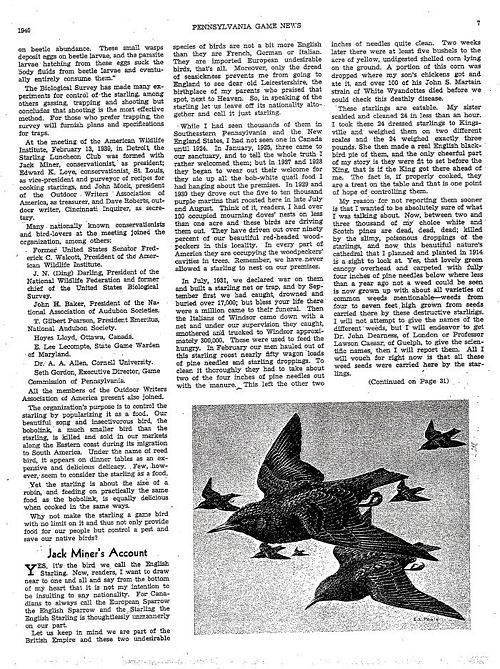 The starling menage page 2.jpg