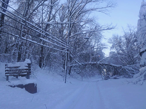 Homehurst at Fairhaven Greenway 2-6-10.jpg