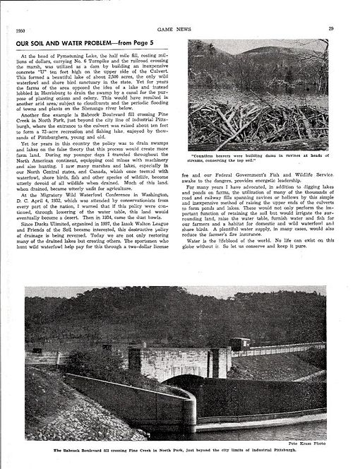 Soil and water 2.jpg