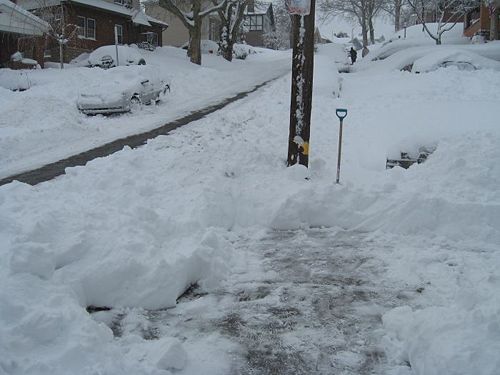 February 2010-Hornaday Road hill.jpg