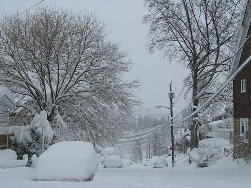 February 2010-Red Rose Avenue.jpg