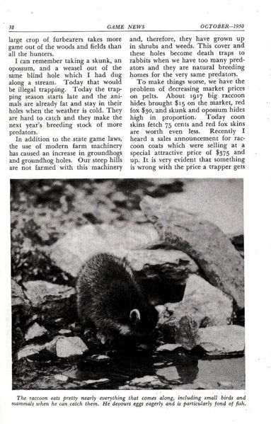 File:Game and pedetors 4. jpg.jpg