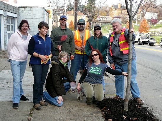 Tree tenders nov. 2010.jpg