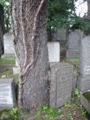 Jewish cemetery 7.jpg