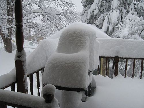 February 2010-deck Hornaday Road.jpg