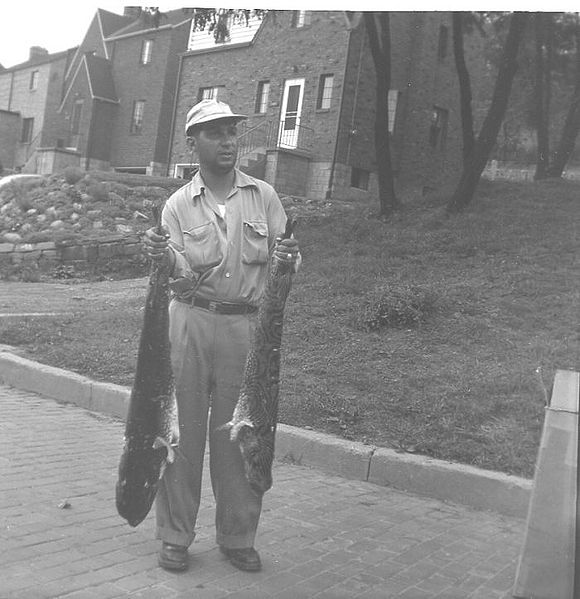File:Rz Vince Desalvo Holding Big Fish Belplain St 1940's.jpg